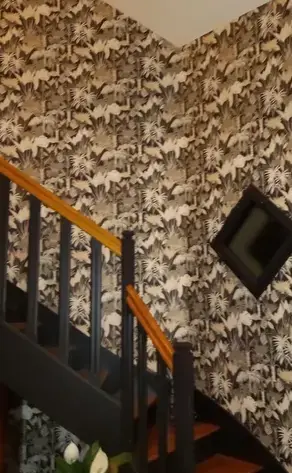 peintre d'intérieur Cesson-Sévigné-2